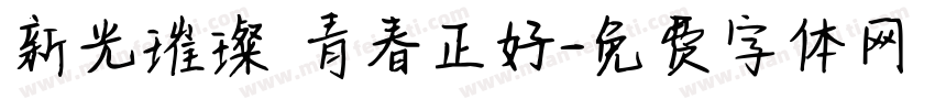 新光璀璨 青春正好字体转换